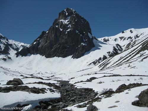 Colmillo Del Diablo