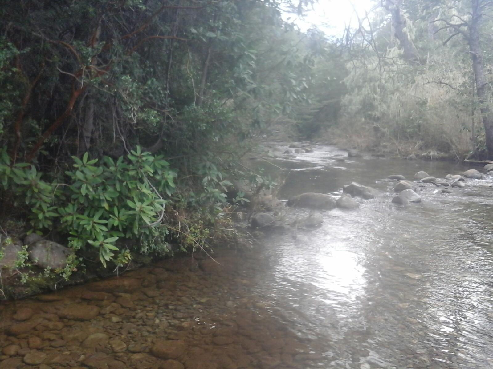 Cerro Las Vizcachas - Estero Yacimiento Frutillar