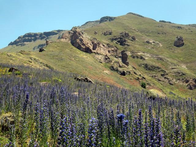 Cerro El Durazno