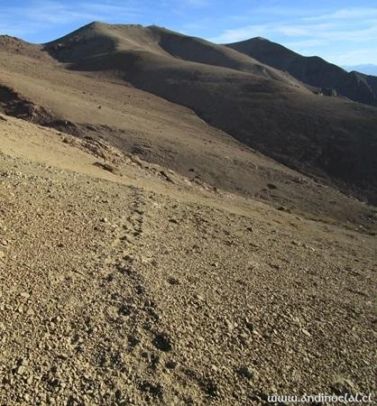Cerro El Pelado