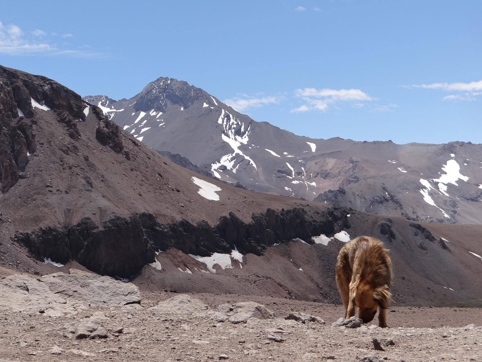 Cerro Bismarck