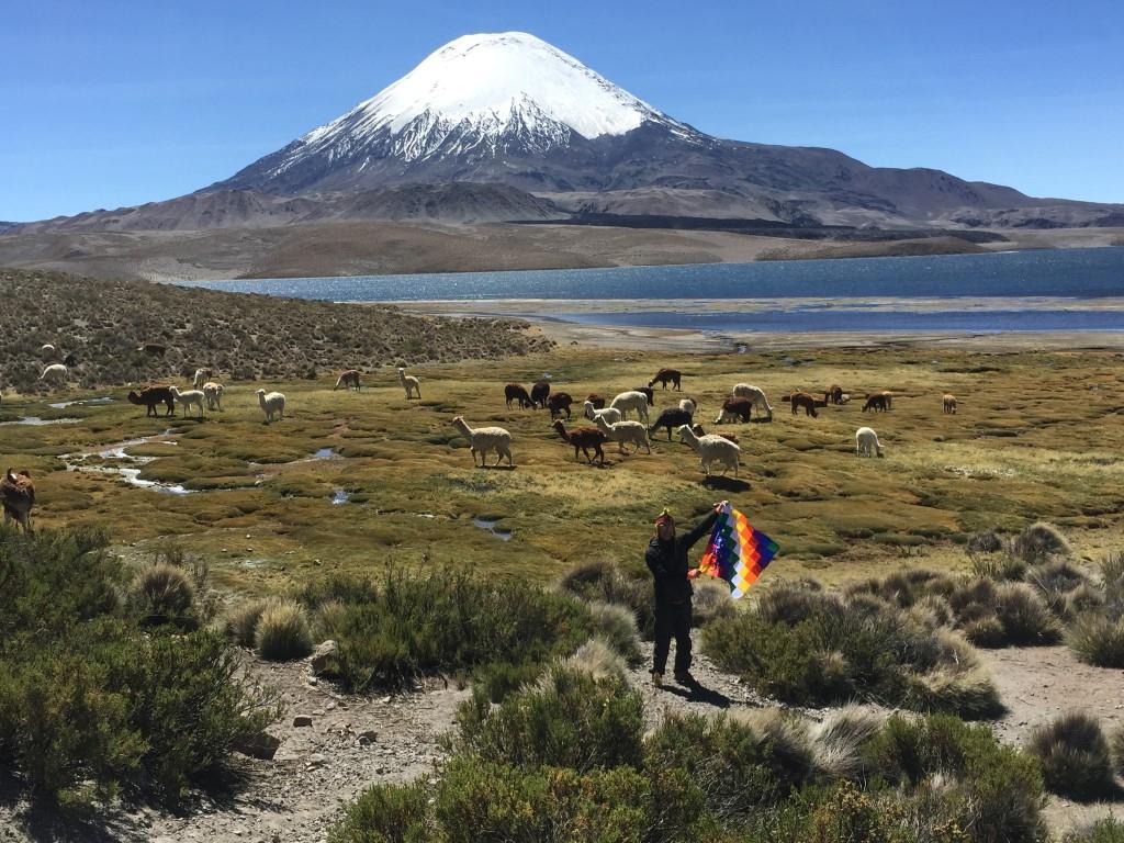 Volcán Parinacota por Chungará