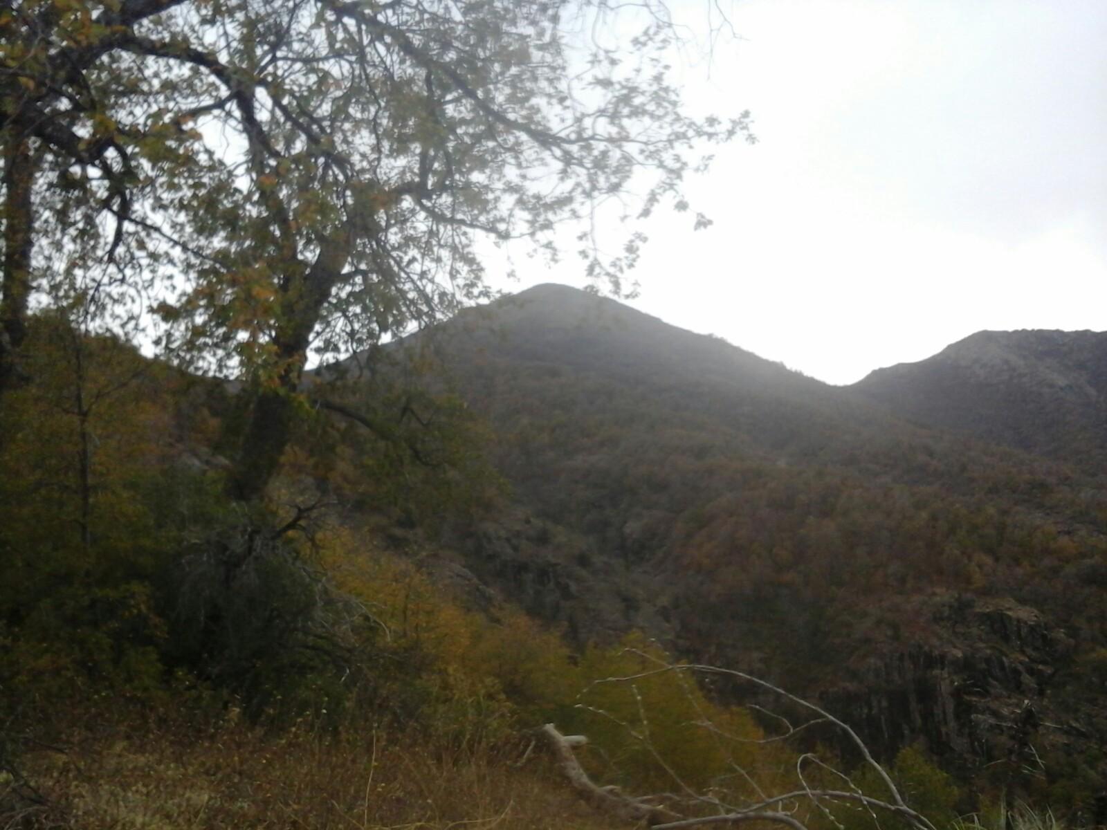 Cerro El Puma