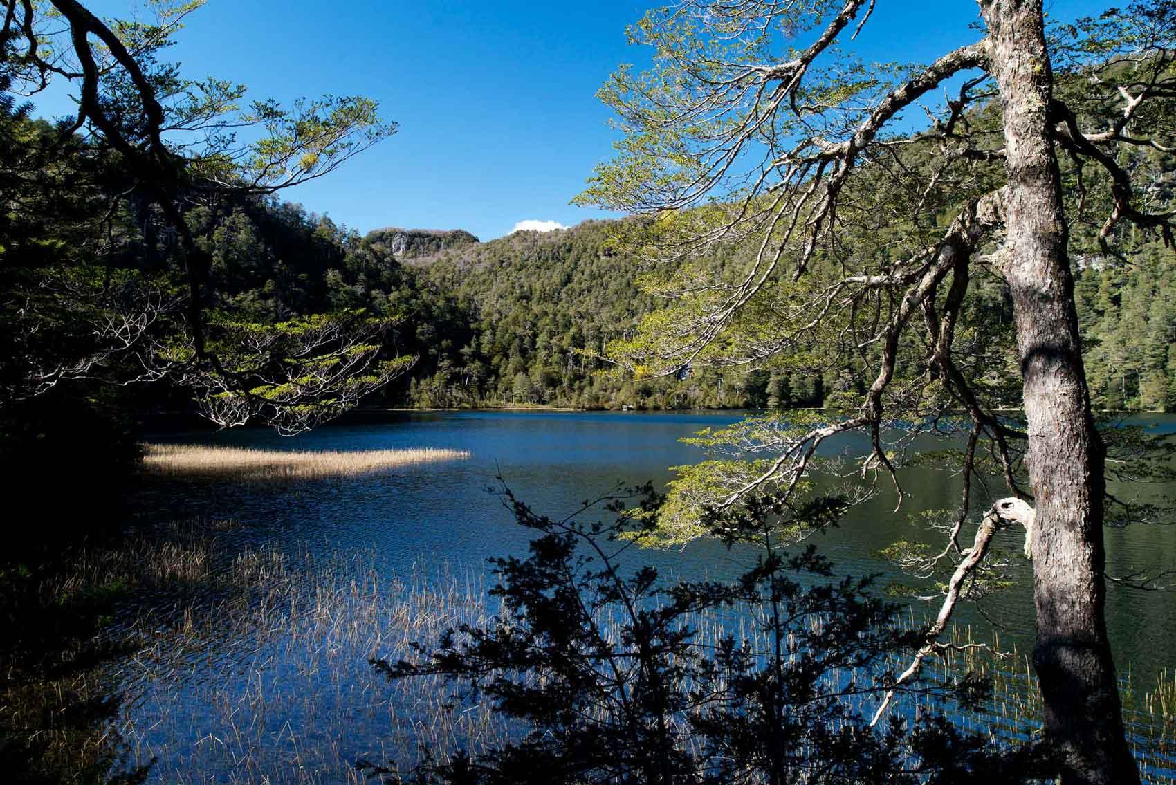 Laguna Pitreño - Parque Futangue