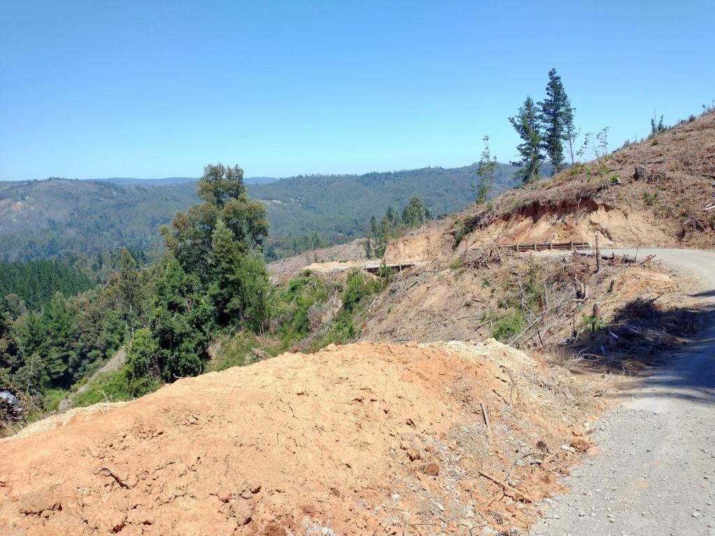 Cerros de Palomares
