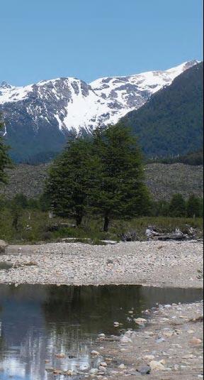 Lago Palena