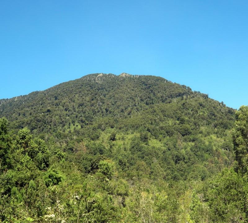 Mirador del Panguipulli