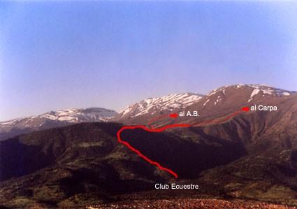 Arqueado de Barrera