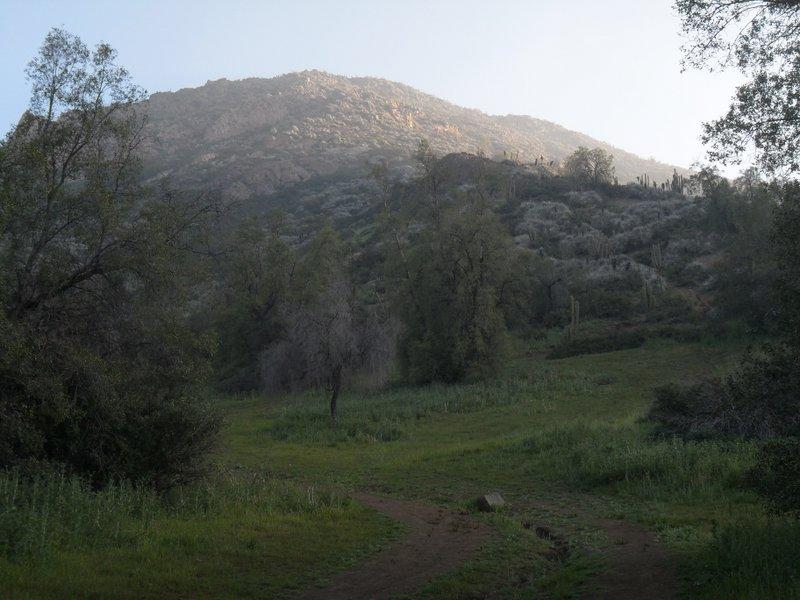 Cerro Manquehue por Los Trapenses