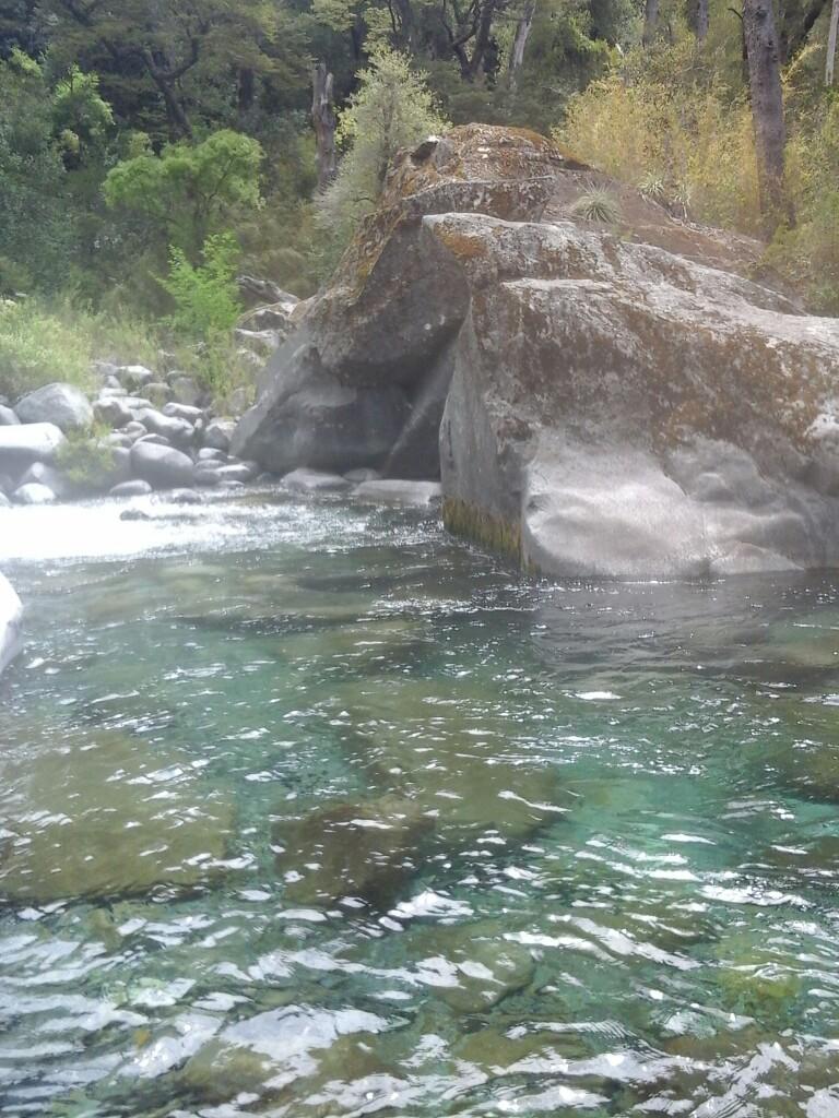 Estero Damas