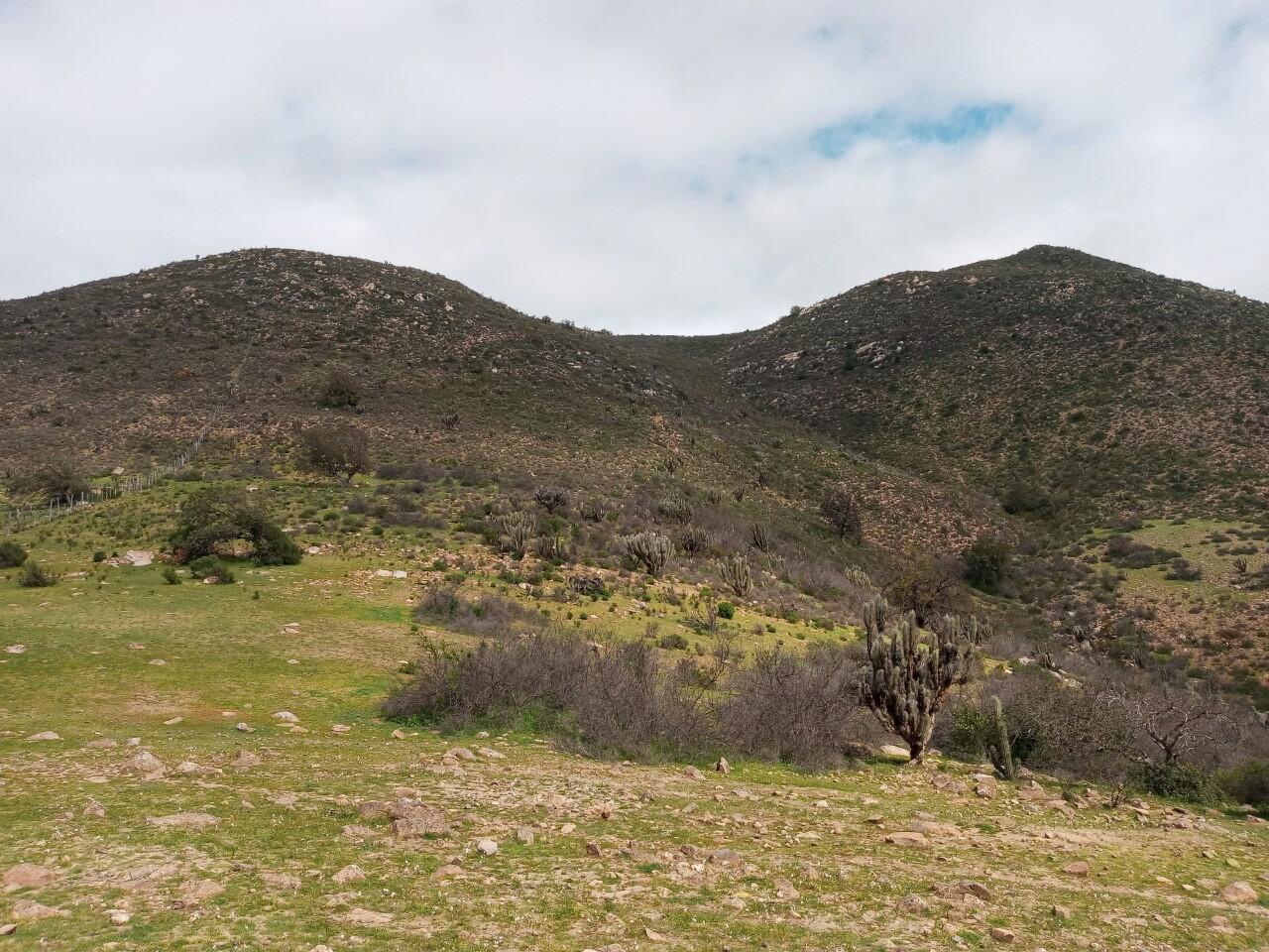 Cordón Tahuinco
