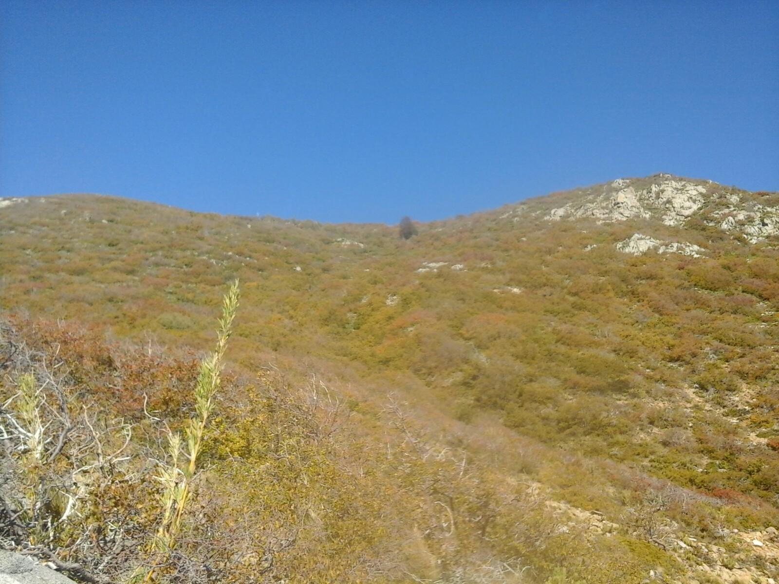Cerro Damas