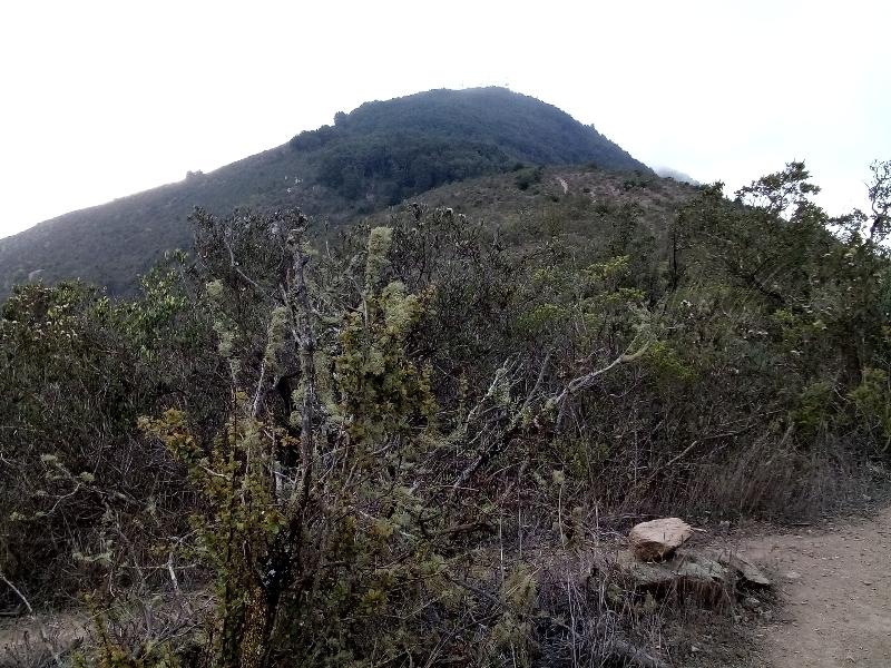 Cerro Santa Inés
