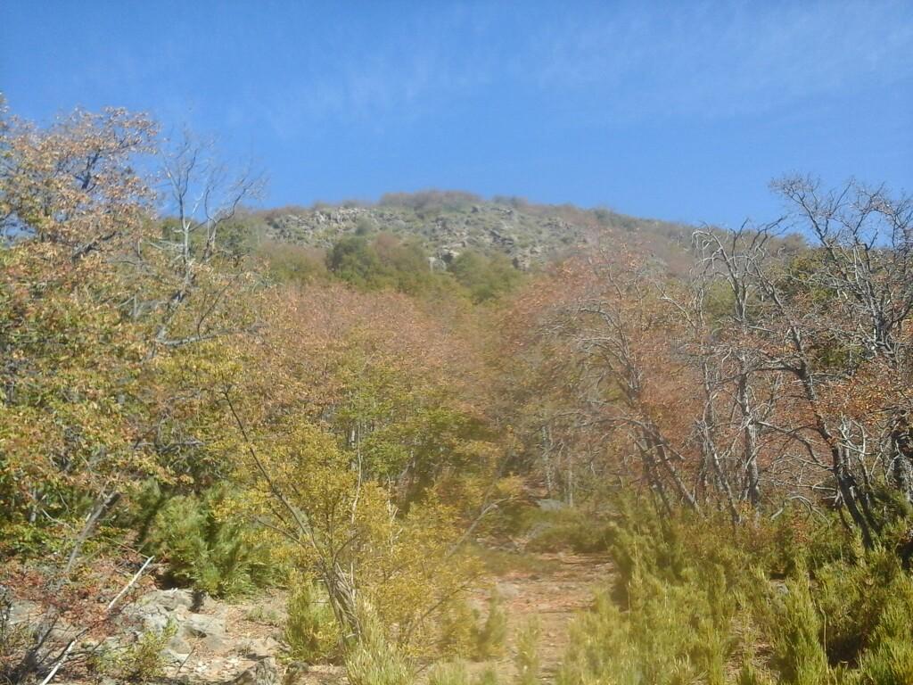 Cerro Los Tricahues