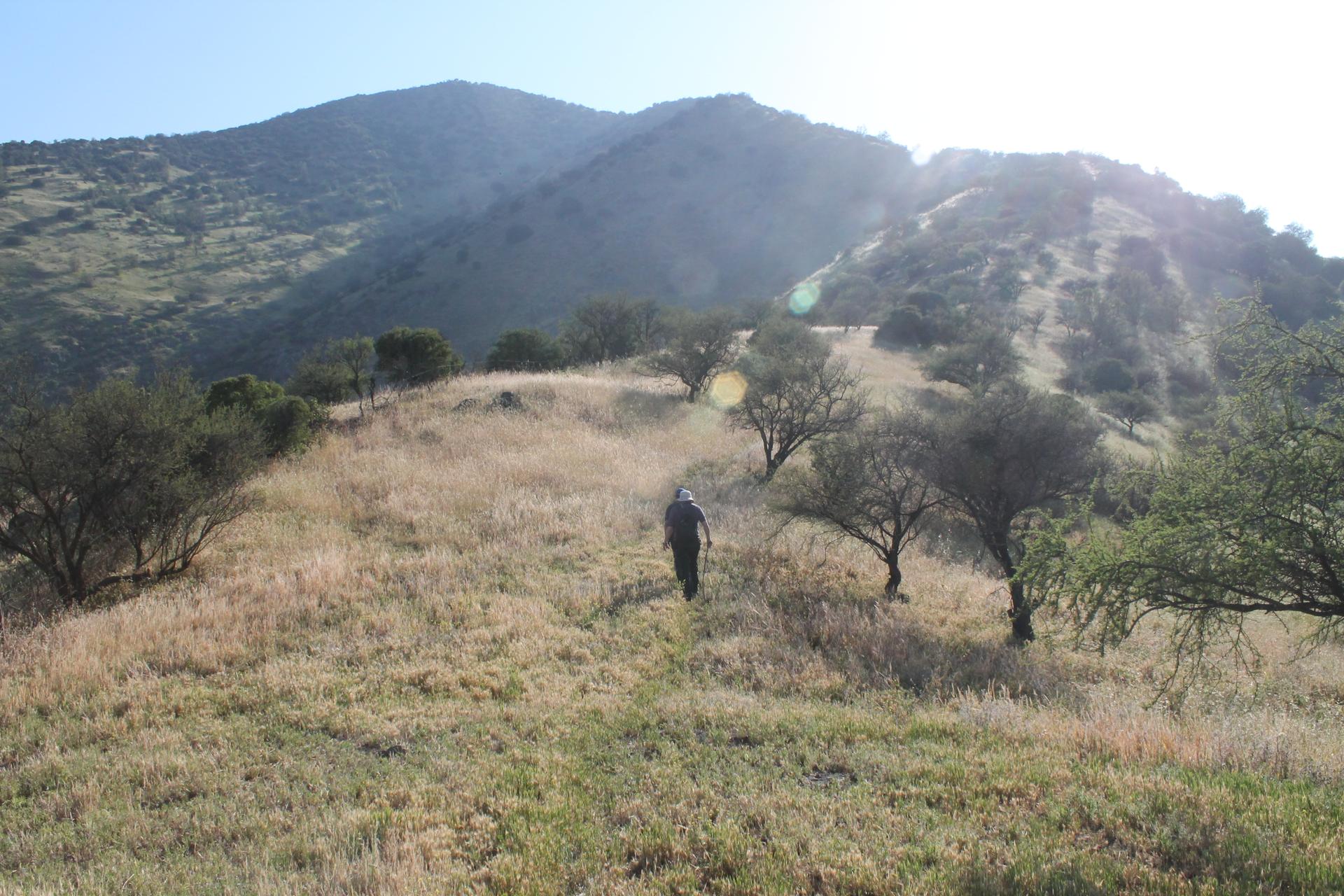 Cerro La Región