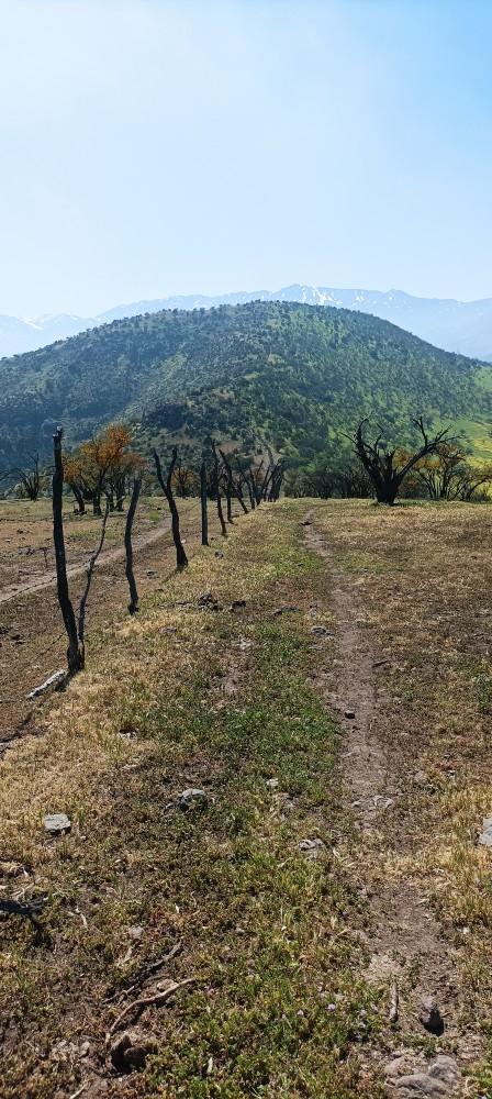 Cerro Reinoso