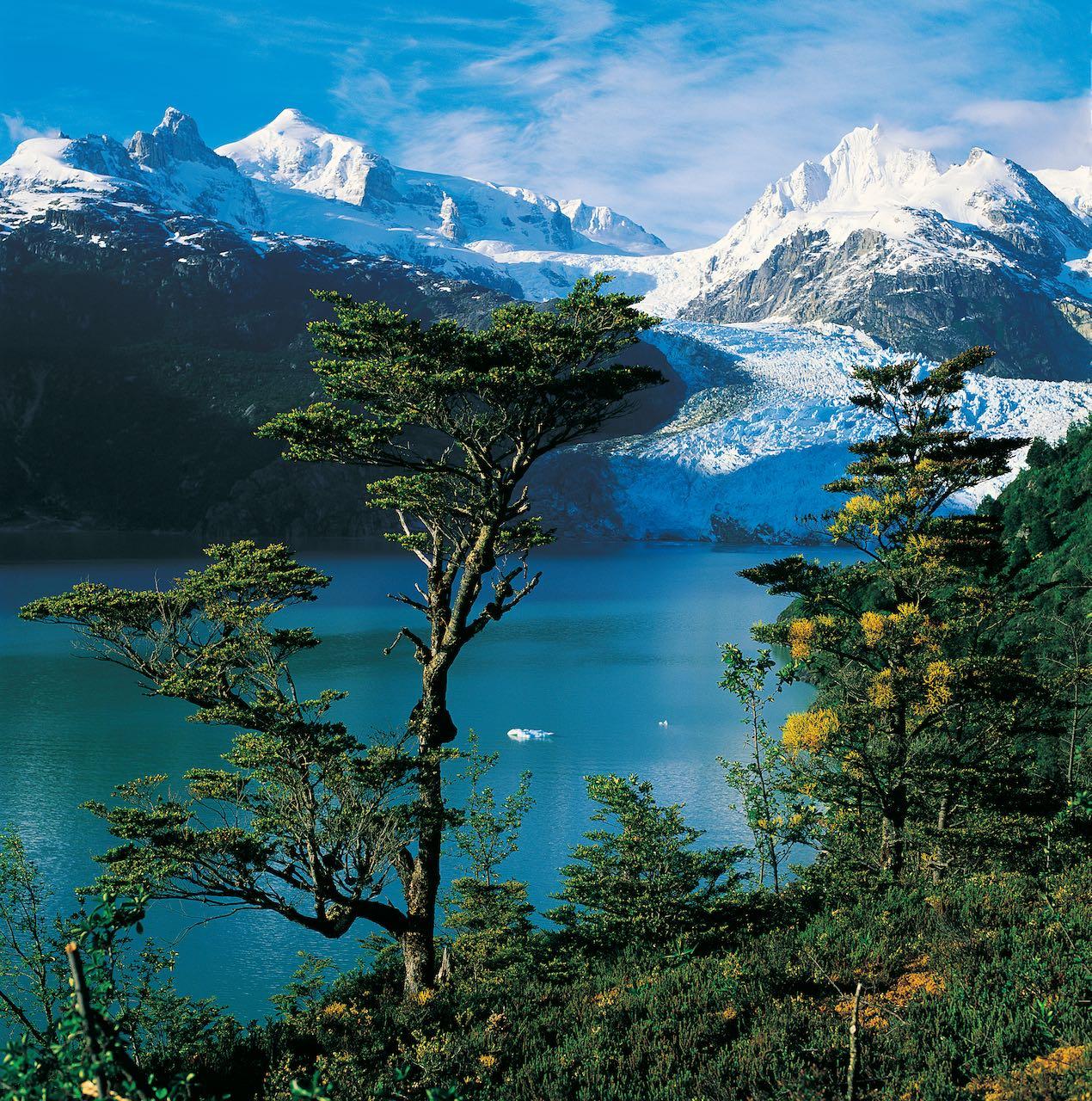 Lago Leones