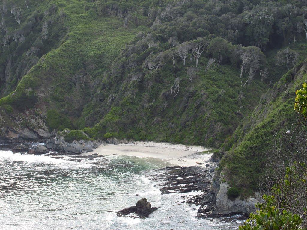 Playa los Burros