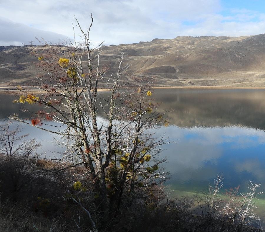 Laguna Cisnes, Parque Nacional Patagonia