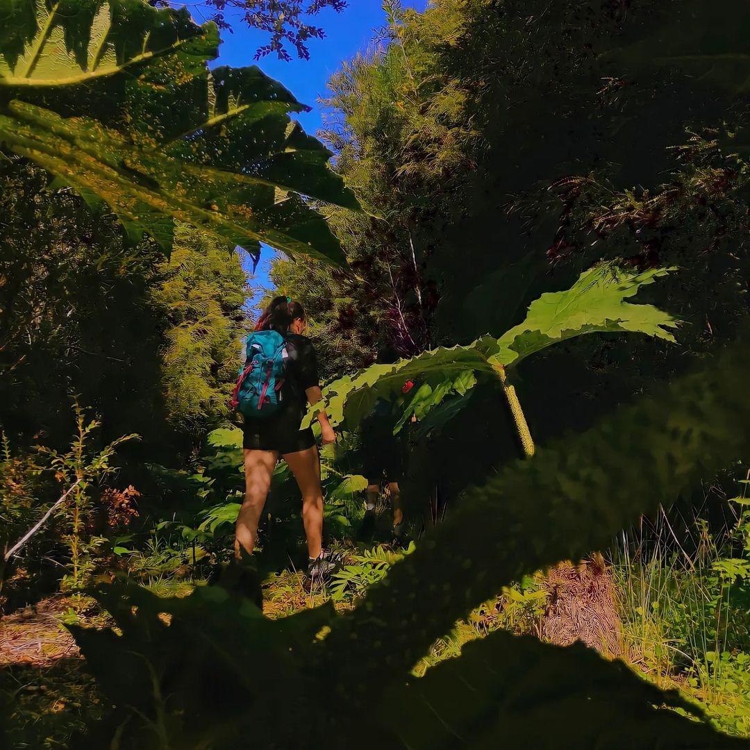 Sendero La Nalca