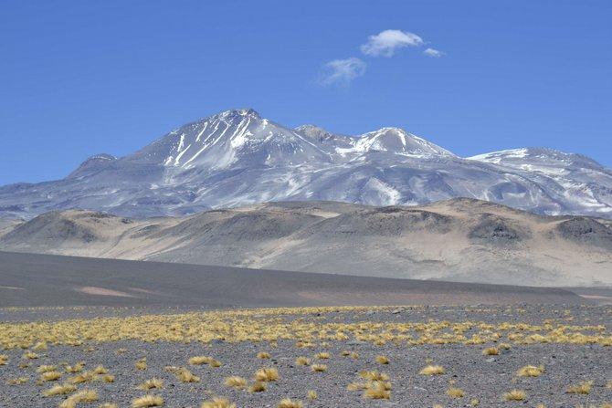 Volcán Ojos del Salado