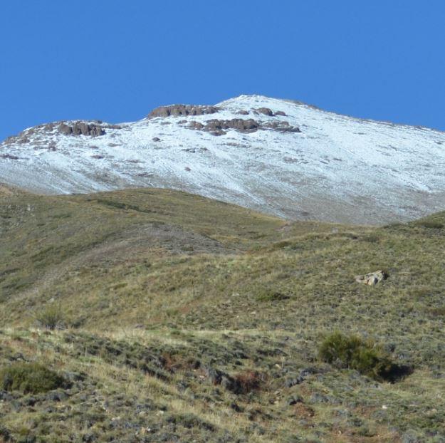 Cerro Pellejo