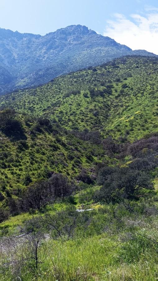 Sendero Quebrada Guayacán