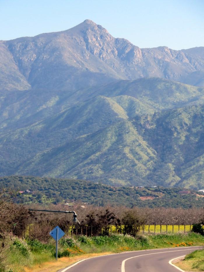 Cerro El Mauco (Curacaví)